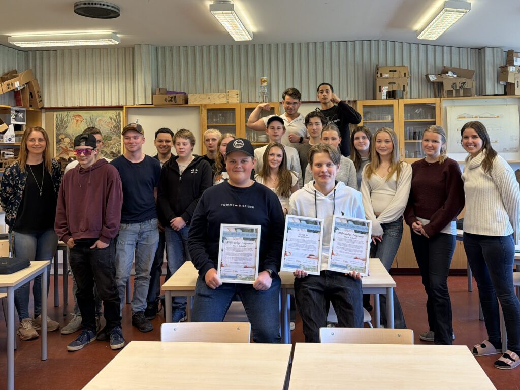 Klass 9, Dalboskolan finalister E-kampen 25/26